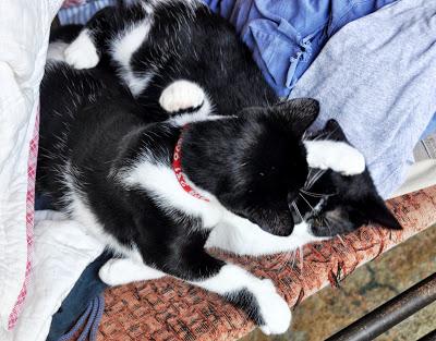 A Sister Keeps Her Sister Clean ... Whether She Likes It Or Not