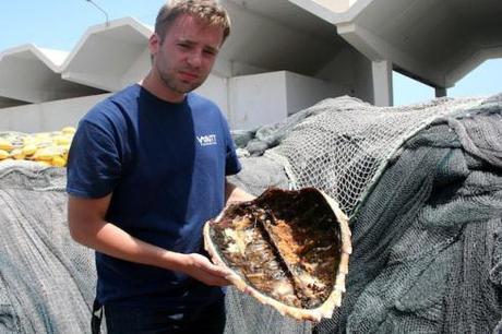 The shell of a sea turtle, one of the world's most protected species, found in Tunisia.