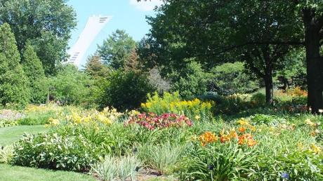 Daylily garden - Montreal Botanical Garden - Frame To Frame Bob & Jean