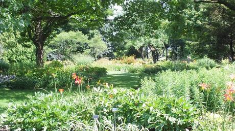 Daylily Garden at Montreal Botanical Garden - Frame To Frame Bob & Jean