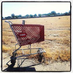 Rosedale shopping cart