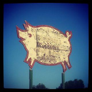 This Quirky Pig was once the Logo for the Kern Valley Packing Company, since 1915!