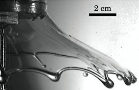 A liquid sheet squeezed from two clapping hands at the velocity of 10.2 centimeter per second. (Credit: Virginia Tech)