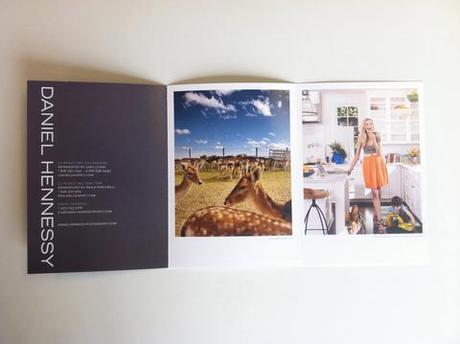 Front fold-out of Daniel Hennessy's photography promo. deer wildlife farm fawn fallow red rock arizona catherine mccord working mom