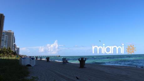 Mini Miami Photo Diary