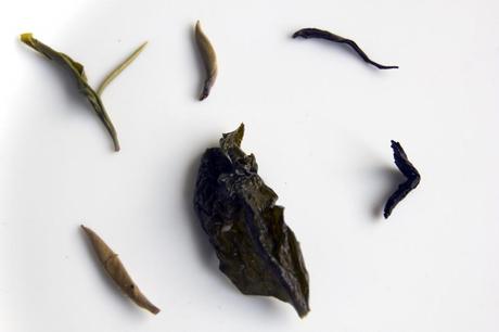 Which tea is the healthiest? Part II- Classification of Tea