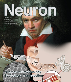 The Beethoven mouse - a key to auditory transduction