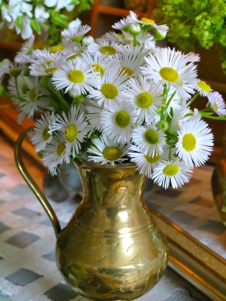 aster arrangement