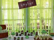 Angry Birds Themed Party Sweet Studio