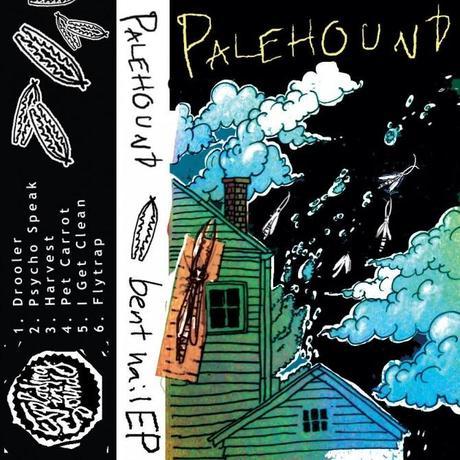 palehound 670x670 Palehound   Pet Carrot
