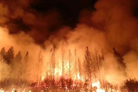 Rim Fire_pho_2013233_lrg