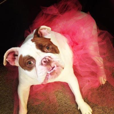 My little soccer player.