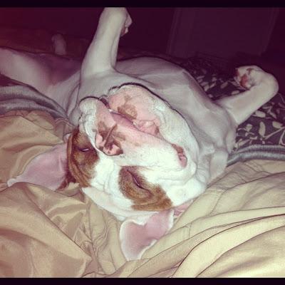 My little soccer player.