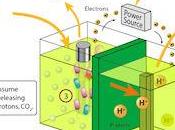 Magic MFCs: Generating Electricity From Mucky Wastewater