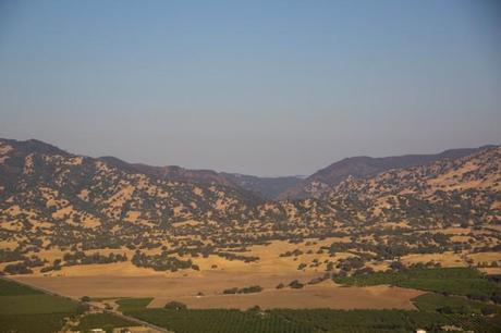 napa valley balloons 12 650x433 San Francisco: Hot Air Balloons and Napa Valley