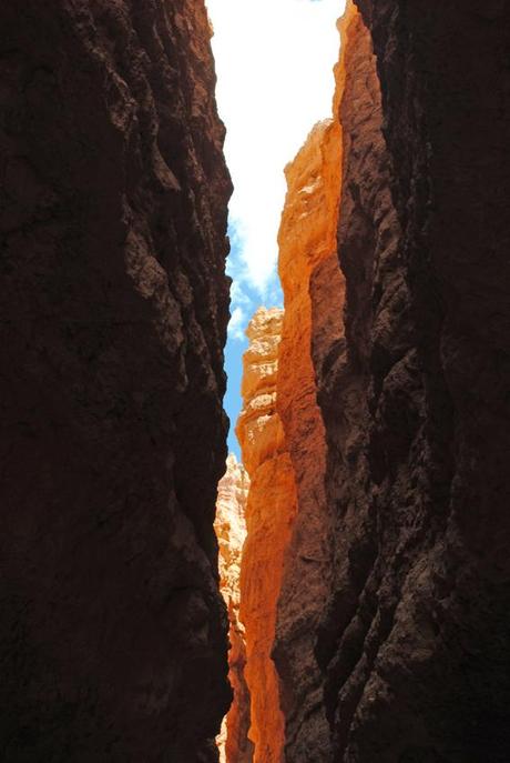 ilovegreeninspiration_BryceandGrandCanyon_25