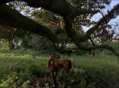 137.  Mexican director Carlos Reygadas’ film “Post Tenebras Lux “ (After Darkness, Light) (2012): Visually and cerebrally stimulating cinema.