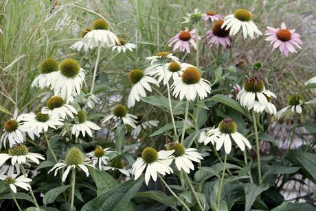 Weekend weekend25 Weekend