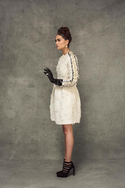 Editorial: Spanish Rose