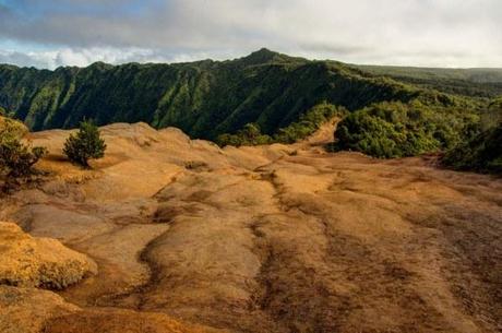 The Pihea Trail Kauai