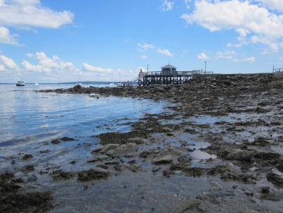 Summer Vacation 2013: Yet Another Fabulous Week in Coastal Maine!