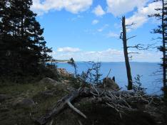 Summer Vacation 2013: Yet Another Fabulous Week in Coastal Maine!