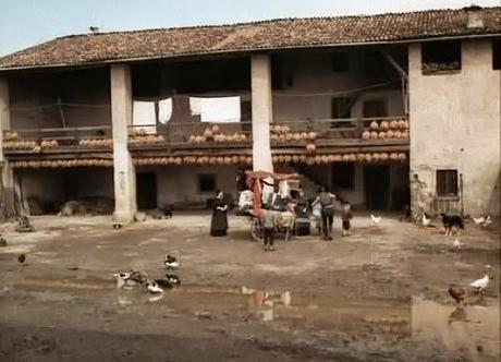 150.  Italian filmmaker Ermanno Olmi’s masterpiece “L'Albero degli zoccoli” (The Tree of Wooden Clogs) (1978): An uplifting and monumental work of a cinematic genius