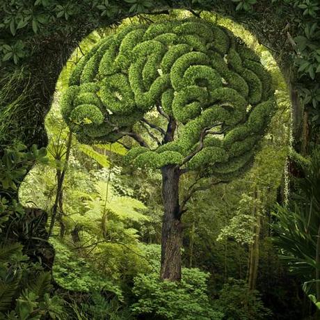 Nature-Brain