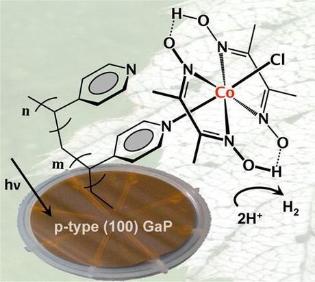 Grafting molecular cobalt-containing hydrogen production catalysts to a visible-light-absorbing semiconductor exploits the UV-induced immobilization chemistry of vinylpyridine to p-type (100) gallium phosphide (GaP). (Credit: See citation at the end of this article)
