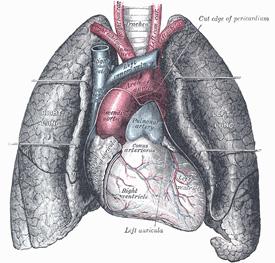 Friday Q&A;: Collapsed Lung