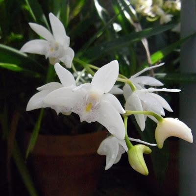 Spring started weeks ago!