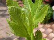 Spring Started Weeks Ago!