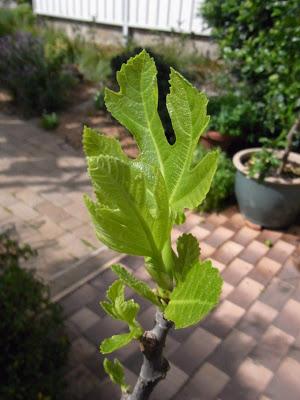 Spring started weeks ago!