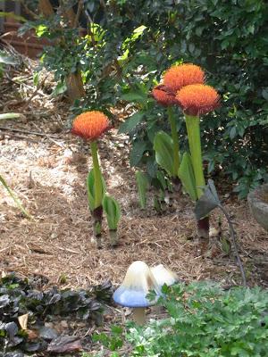 Spring started weeks ago!