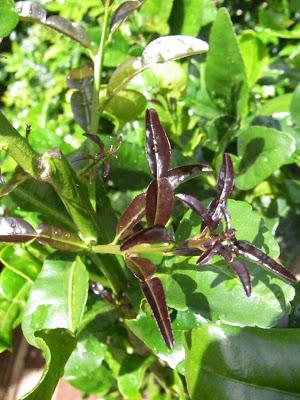 Spring started weeks ago!