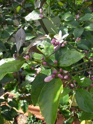 Spring started weeks ago!