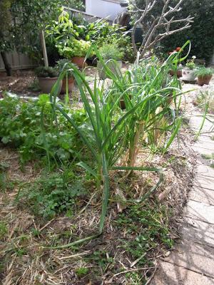 Spring started weeks ago!