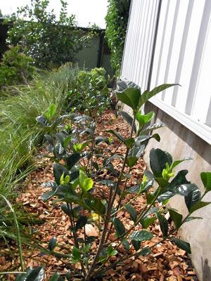 Spring started weeks ago!