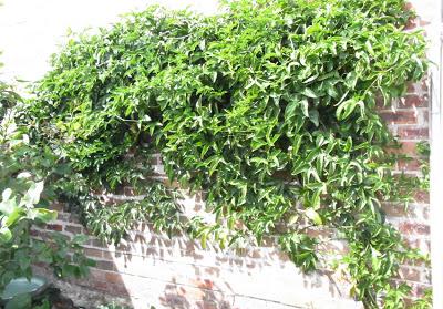 Spring started weeks ago!