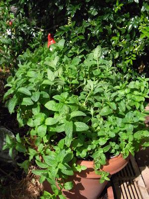 Spring started weeks ago!