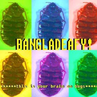 Bangladeafy! - This Is Your Brain On Bugs and The Briefcase