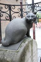 The Big Picture Quiz ANSWERS 1-3