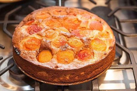 Apricot Rose Ricotta Cake (1 of 4)