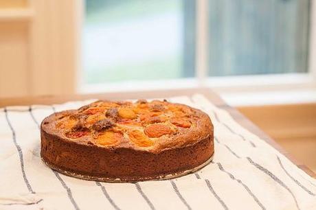 Apricot Rose Ricotta Cake (2 of 4)