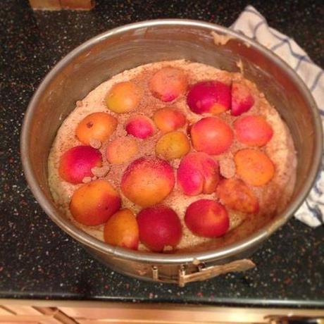 Apricot rose ricotta cake, assembled.