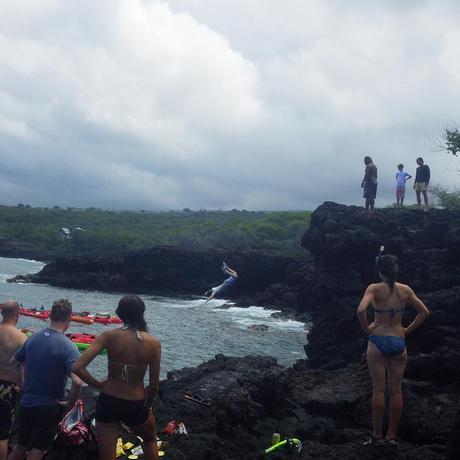 kona snorkle july 2013