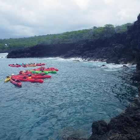 kona snorkle july 2013