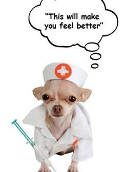 dog vaccination