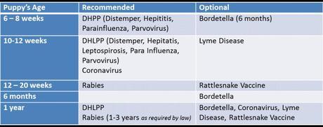 dog vaccination