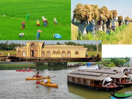 Cycling Through Emerald Villages of Kuttanad